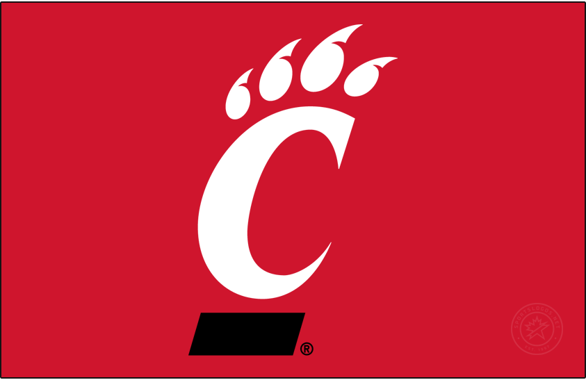 Cincinnati Bearcat 2005-Pres Primary Dark Logo diy DTF decal sticker